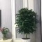 開業慶典鮮花配送：紅火開業日，精彩出征時，生意多興旺，財源添輝煌，萬事皆如意！